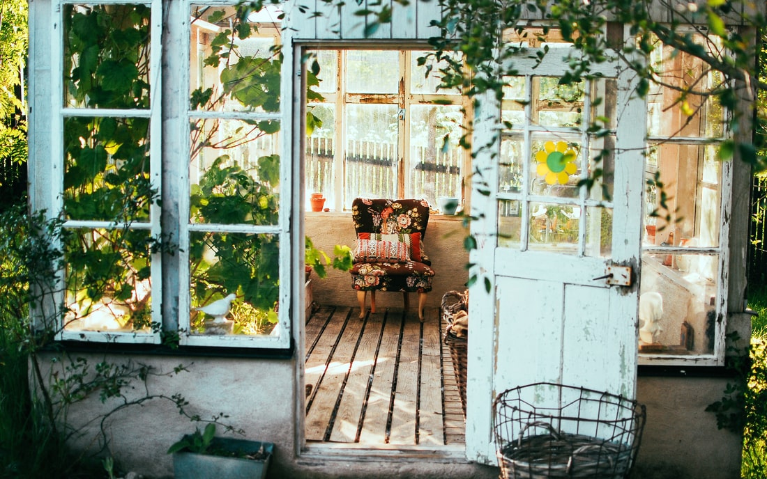 A back porch door surround by vines. 