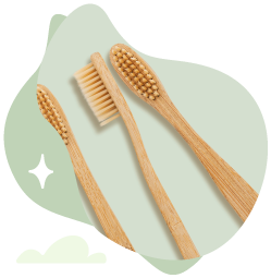 Bamboo Toothbrushes Photo