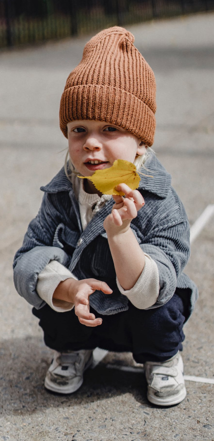 boy holds leaf