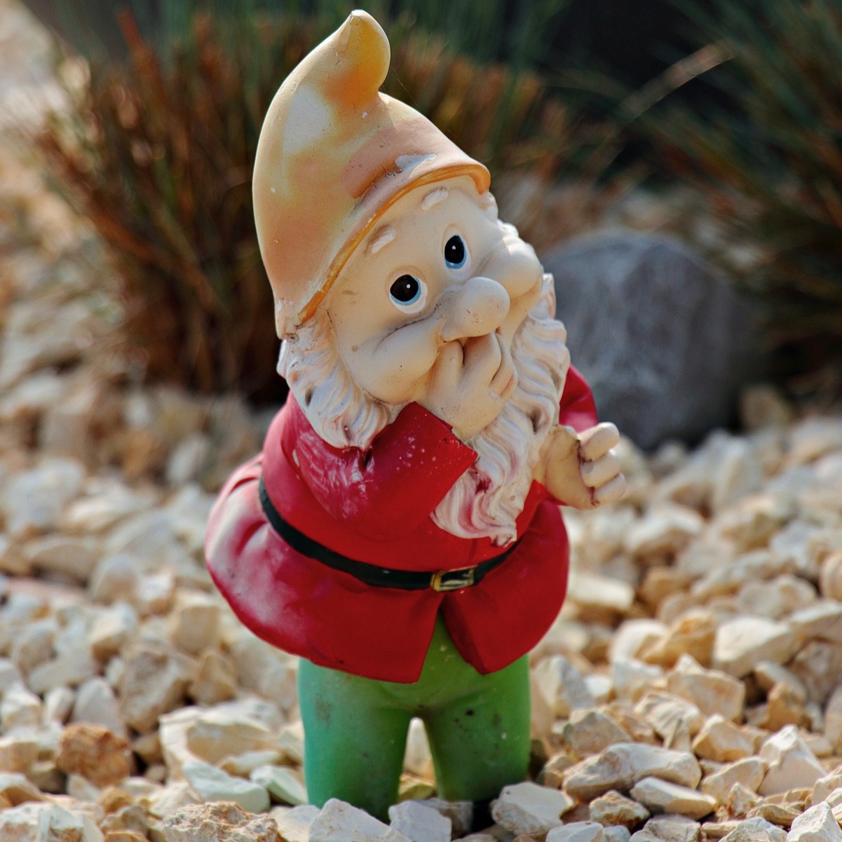 Garden Gnome