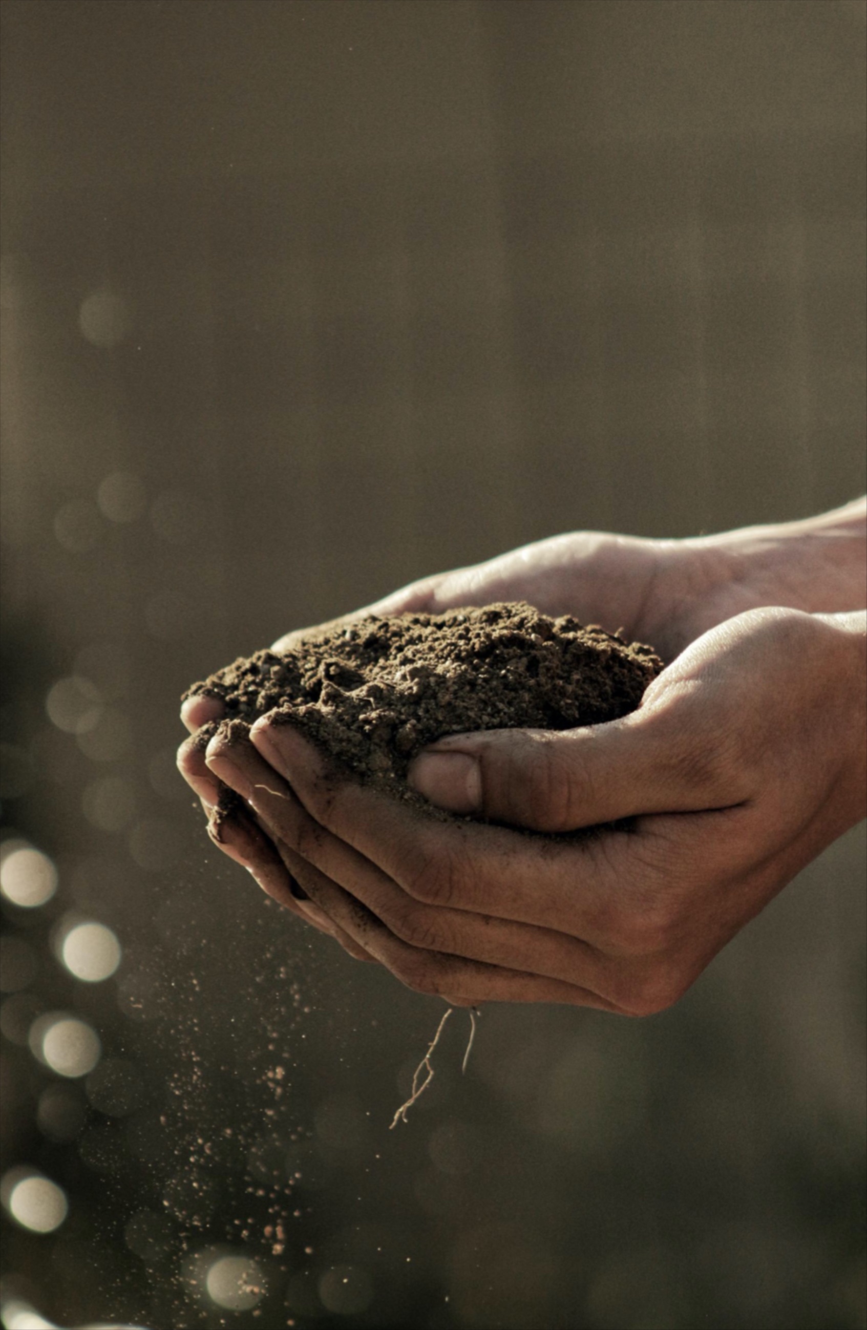 Hands with Soil