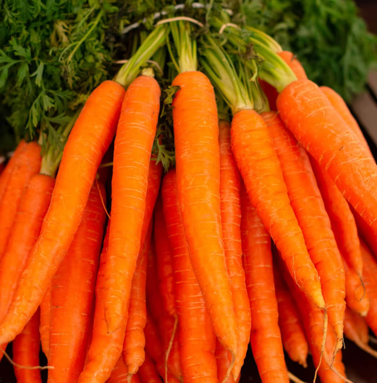 carrots