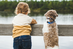 child with a dog