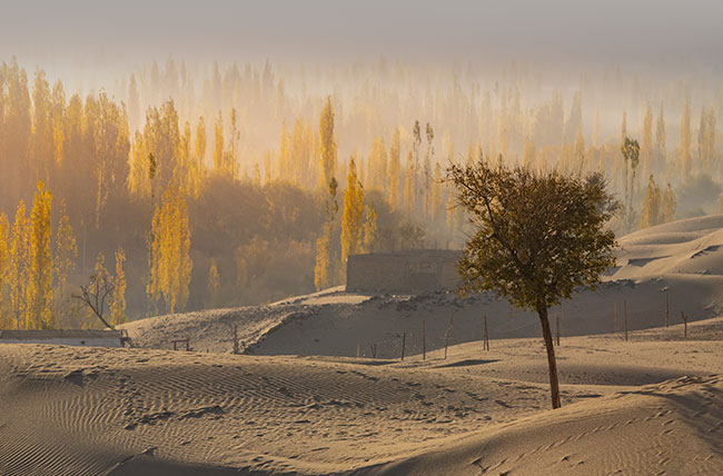 Sand Desert At Skardu